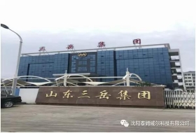 山东三岳集团