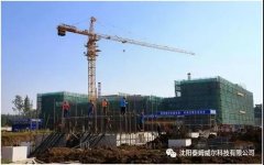 濉溪浦发生物发电有限公司