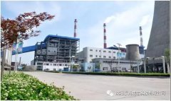 青岛琦泉生物质发电有限公司